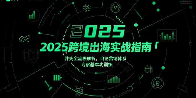 2025跨境出海实战指南，并购全流程解析，自创营销体系，专家基本功训练-网创星球