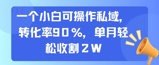 一个小白可操作私域，转化率90%，单月轻松收割2W-网创星球