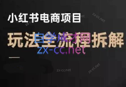 菲菲老师·小红书电商玩法(更新7月)-网创星球