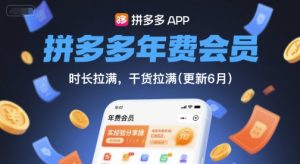 拼多多年费会员，实经验分享操，时长拉满，干货拉满(更新7月)-网创星球