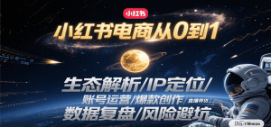 小红书电商从0到1:生态解析/IP定位/ 账号运营/爆款创作/直播带货/数据复盘/风险避坑-网创星球