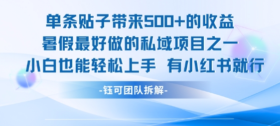 单条贴子带来5张的收益，暑假最好做的私域项目之一，小白也能轻松上手，有小红书就行-网创星球