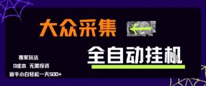 大众采集全自动玩法，新手小白轻松一天5张+，操作简单零成本【揭秘】-网创星球