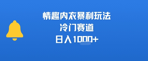 情趣内衣暴利玩法，冷门赛道，日入1k+-网创星球