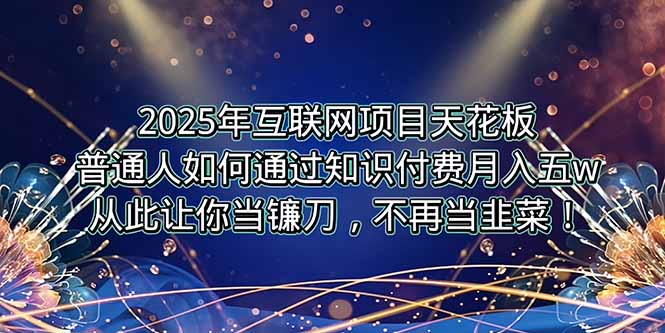2025年互联网项目天花板，普通人如何通过卖项目实现逆风翻盘，月入5W＋！-网创星球