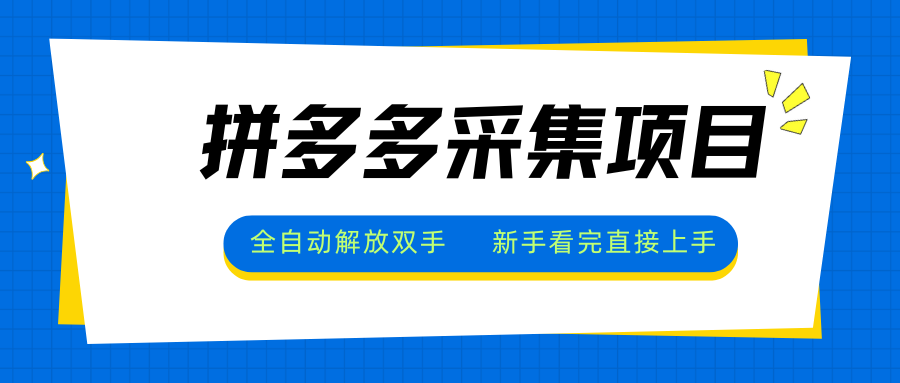 拼多多采集项目，全自动解放双手，单号日入30+-网创星球