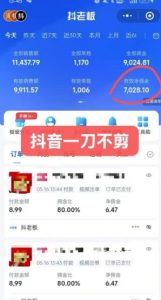 抖音短视频一刀不剪带货，不剪辑，不直播，每天发个视频，等着出单获取带货佣金-网创星球