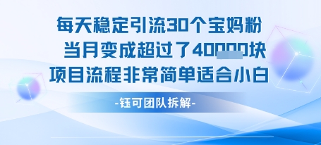 每天稳定引流30个人 当月变成超过了4个W项目流程非常简单适合小白-网创星球