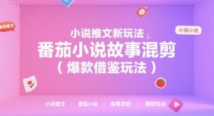 小说推文新玩法，番茄小说故事混剪(爆款借鉴玩法)-网创星球