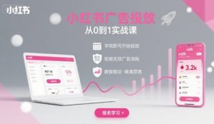 小红书广告投放从0到1的实战课，学完即可开始投放，拒绝无效广告消耗-网创星球