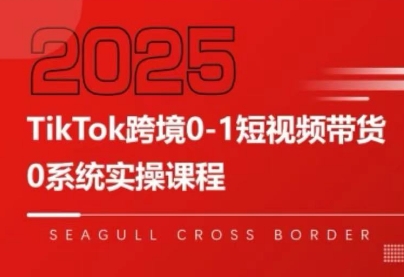 大亿老师·TikTok跨境0-1短视频带货-网创星球