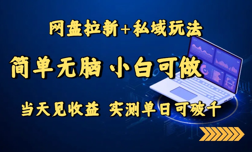 网盘拉新+私域玩法，简单无脑，小白可做，当天见收益，实测单日可破千-网创星球