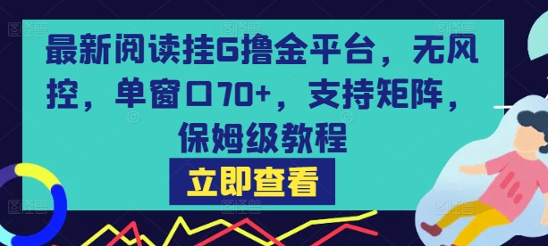 最新阅读挂G撸金平台，无风控，单窗口70+，支持矩阵，保姆级教程【揭秘】-网创星球