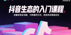 抖音生态的入门课程：流量变现全攻略，16种盈利方式，标签体系精准定位-网创星球