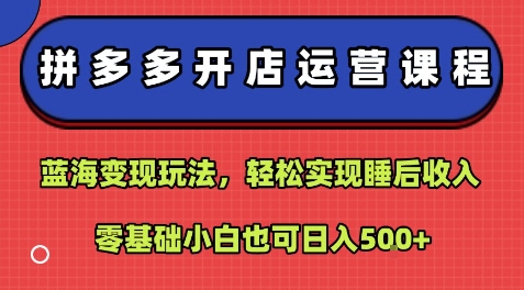 拼多多开店运营课程：蓝海变现玩法，轻松实现睡后收入，零基础小白也可日入5张-网创星球