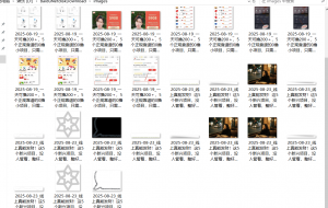 『高端精品』最新公主号无水印下载工具，图片 视频 音频 无脑小白一键下载-网创星球