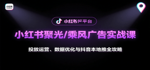 小红书聚光/乘风广告实战课:投放运营、数据优化与抖音本地推全攻略-网创星球