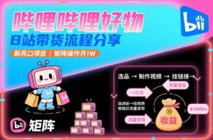 哔哩哔哩好物，B站带货流程分享，新风口项目，矩阵操作月1W-网创星球
