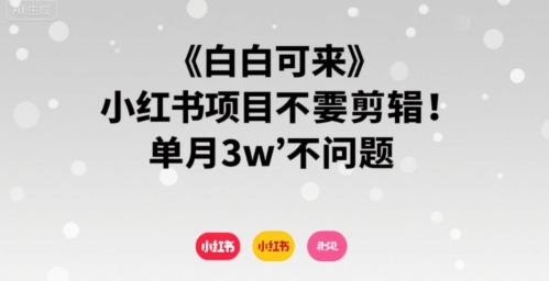 小白可来 小红书项目不需要剪辑 单月3w不是问题-网创星球