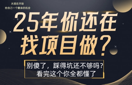 25年，你还在疯狂的找项目吗？别傻了，看完这个你都懂了【揭秘】-网创星球