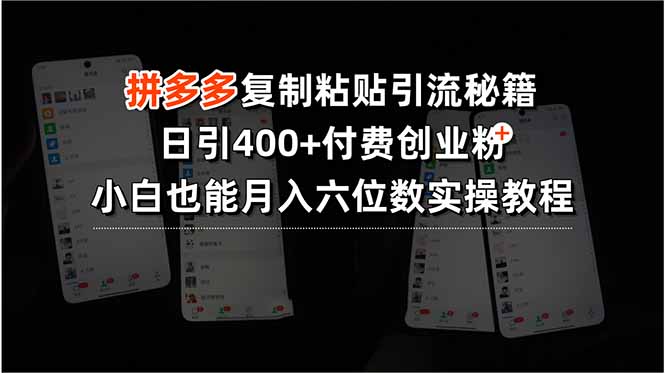 拼多多复制粘贴引流秘籍，日引400+付费创业粉，小白也能月入六位数实操…-网创星球
