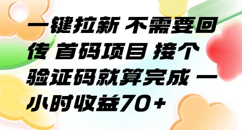 一键拉新 不需要回传 首码项目 接个验证码就算完成 一小时收益70+【揭秘】-网创星球