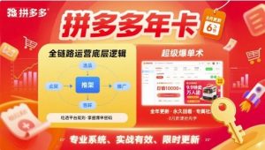 拼多多年卡【8月更新6节】拼多多全链路运营底层逻辑，超级爆单术-网创星球