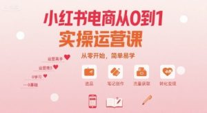 小红书电商从0到1实操运营课，从零开始，简单易学-网创星球