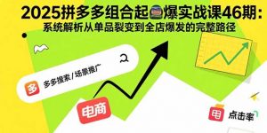 2025拼多多组合起爆实战课46期：系统解析从单品裂变到全店爆发的完整路径-网创星球
