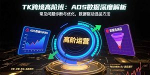 TK跨境高阶班：ADS数据深度解析，常见问题诊断与优化，数据驱动选品方法-网创星球