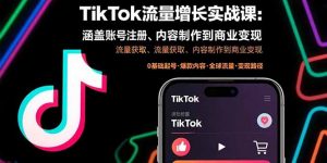 TikTok流量增长实战课：涵盖账号注册、流量获取、内容制作到商业变现-网创星球