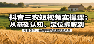抖音三农短视频实操课:从基础认知、定位拆解到内容创作、拍摄剪辑及数据复盘投放-网创星球
