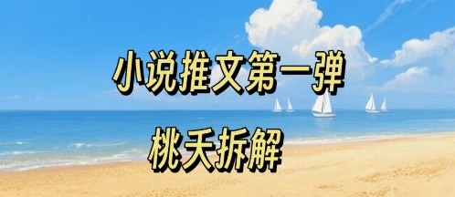 小说推文项目操作全流程第一弹，0粉就能做，门槛低非常适合新手-网创星球