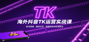 海外抖音TK运营实战课:账号搭建、精准引流、剪辑带货与私域转化-网创星球