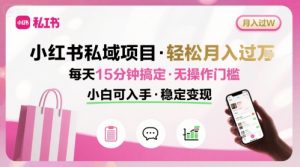 小红书私域项目 月入过W非常轻松 每天15分钟即可搞定，无任何操作门槛，小白可入手-网创星球