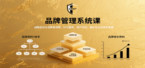 品牌管理系统课：战略定位与消费者洞察，DTC案例、资产评估，增长与公关体系搭建-网创星球