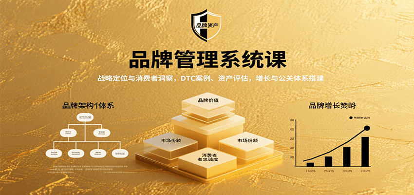 品牌管理系统课：战略定位与消费者洞察，DTC案例、资产评估，增长与公关体系搭建-网创星球