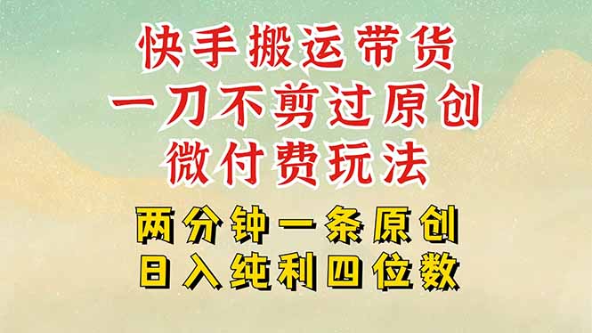 快手黑科技搬运带货，一刀不剪过原创，微付费投流玩法，轻松日入四位数…-网创星球