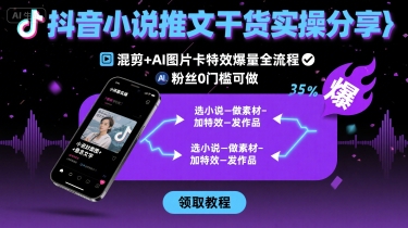 抖音小说推文干货实操分享，混剪+AI图片卡特效爆量全流程，0粉丝0门槛可做-网创星球