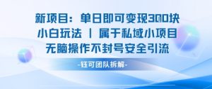 新项目单日即可变现3张的小白玩法无脑操作不封号安全引流-网创星球