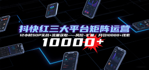 抖快红三大平台矩阵运营,12小时SOP实战+流量获取-风控-扩量,月引10000+线索-网创星球