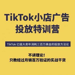 TikTok小店广告投放特训营，6天破局计划专治各种“投不动”，教你经过月销百万验证的实战干货-网创星球