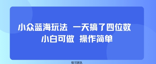 小众蓝海玩法 一天搞了四位数 小白可做 操作简单-网创星球
