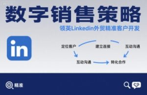 数字销售策略领英LinkedIn外贸精准客户开发-网创星球