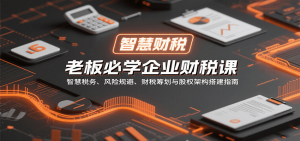 老板必学企业财税课:智慧税务、风险规避、财税筹划与股权架构搭建指南-网创星球