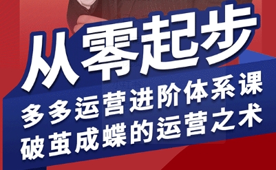 拼多多运营进阶系统课，从零起步，多多运营进阶体系课，破茧成蝶的运营之术-网创星球
