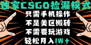 CSGO自动捡漏项目，最新独家玩法，不是美区搬砖，不需要了解和玩游戏，新手小白轻松月入1W+【揭秘】-网创星球