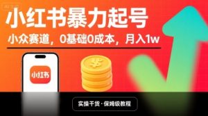小红书暴力起号，小众赛道，0基础0成本，月入1w-网创星球