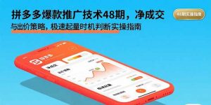 拼多多爆款推广技术48期,净成交与出价策略,极速起量时机判断实操指南-网创星球