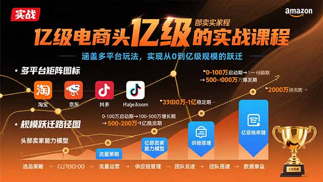 亿级电商头部卖家的实战课程：涵盖多平台玩法，实现从0到亿级规模的跃迁-网创星球